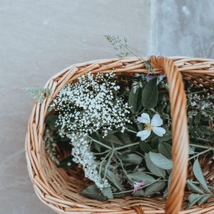 Mein "wilder" Kräuter-Korb