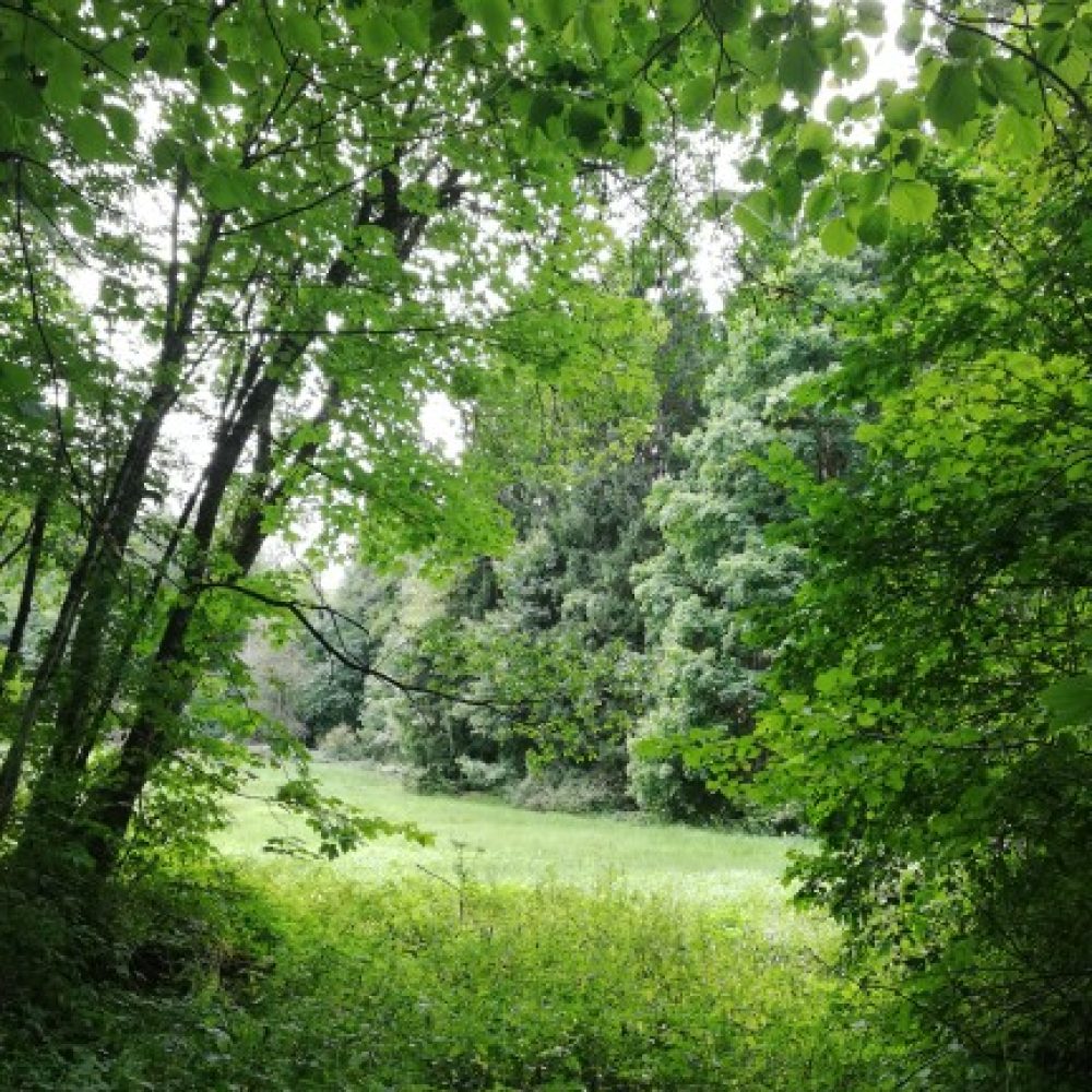 Landschaft3